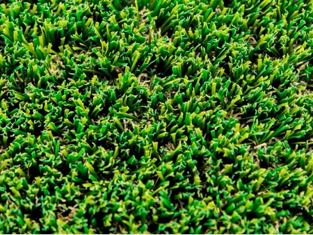 العشب الاصطناعي  TS DUALGREEN