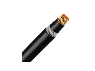 كابلات الجهد المنخفض المعزولة NYRY من 0.6 إلى 1 ك.ف                     0.6/1 kV NYRY Cable(CU/PVC/SWA/PVC)