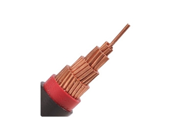 كابلات الجهد المنخفض المعزولة  NYYمن 0.6 إلى 1 ك.ف                     0.6/1 kV NYY Cable(CU/PVC/PVC)
