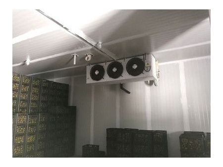 غرفة تبريد في بيئة يتم التحكم بها Controlled Atmosphere Cold Storage