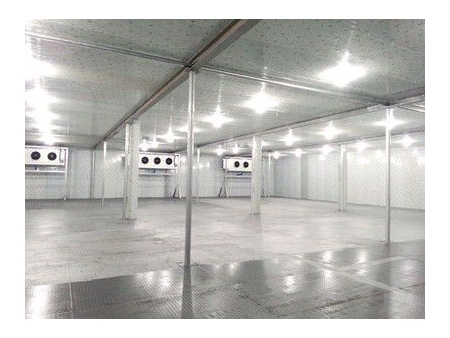 غرفة تبريد اللحوم المجمدة Frozen Meat Cold Storage