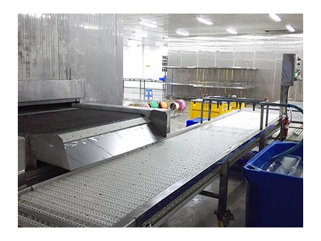 غرفة التبريد والتجميد السريع Quick Freezing Cold Storage