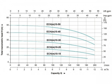 ECH(10)