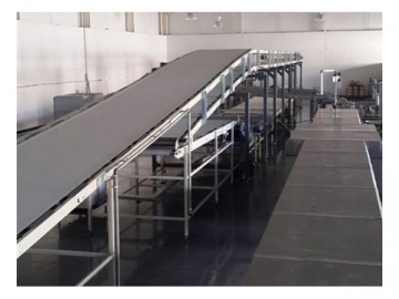 خط إنتاج البسكويت الهش (البسكويت الطري)   Soft Biscuit Production Line